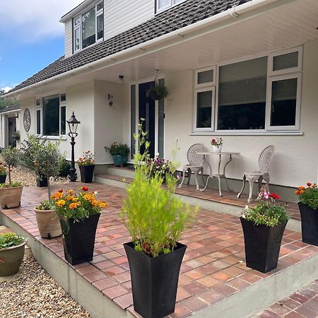 Woodland House B & B Wimborne Minster Exterior photo